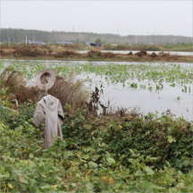 無害化處理技術