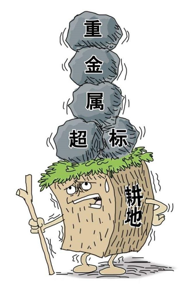 重金屬污染超標 重金屬污染超標
