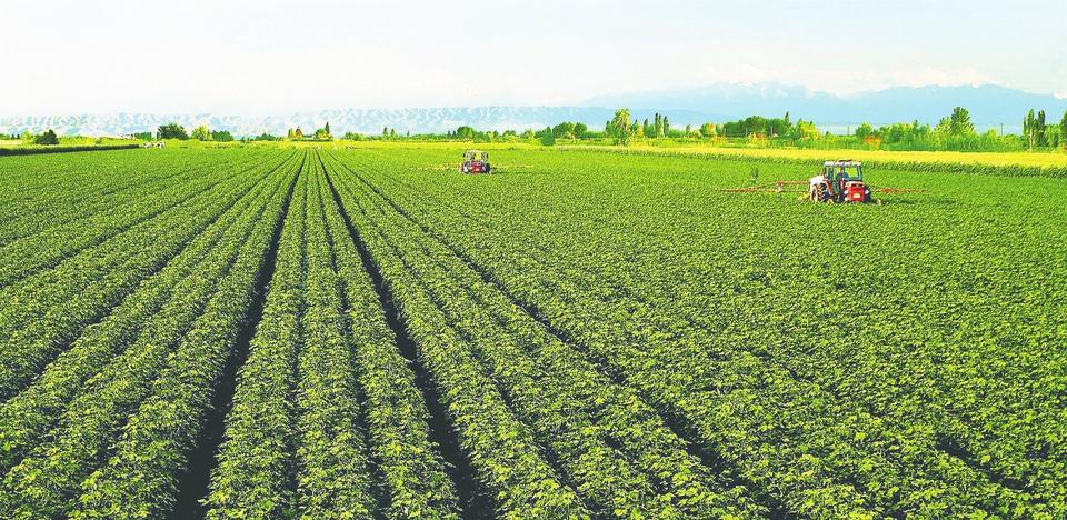 土壤修復新技術 土壤修復新技術