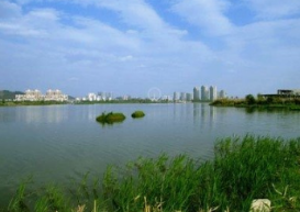 農村生活污水治理——穩定塘處理技術 農村生活污水治理——穩定塘處理技術