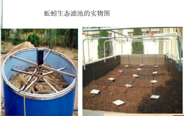 蚯蚓生態濾池實物圖 蚯蚓生態濾池實物圖
