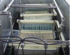 生物污水處理 生物污水處理