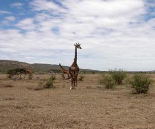 1614586879907332.jpg 生態(tài)情況.jpg