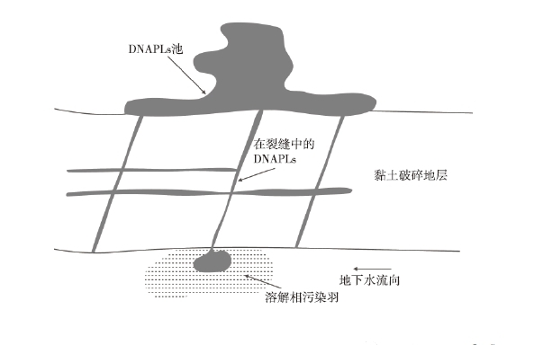 1617342030330826.jpg DN4.jpg