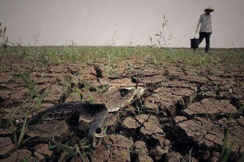 河北華清 河北華清