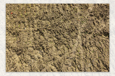 <a href=http://www.zhiquanclub.com/turangjiance.html>土壤檢測</a> 土壤檢測