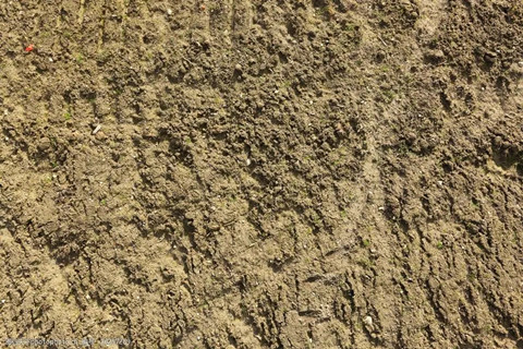 <a href=http://www.zhiquanclub.com/turangjiance.html>土壤檢測</a> 土壤檢測