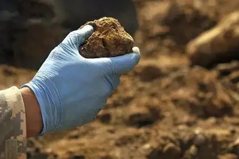 <a href=http://www.zhiquanclub.com/turangjiance.html>土壤檢測</a> 土壤檢測