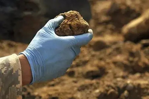 <a href=http://www.zhiquanclub.com/turangjiance.html>土壤檢測</a>.jpg 土壤檢測.jpg